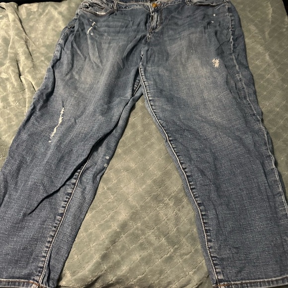 Venezia Denim - Venezia By Lane Bryant Jeans Size 20